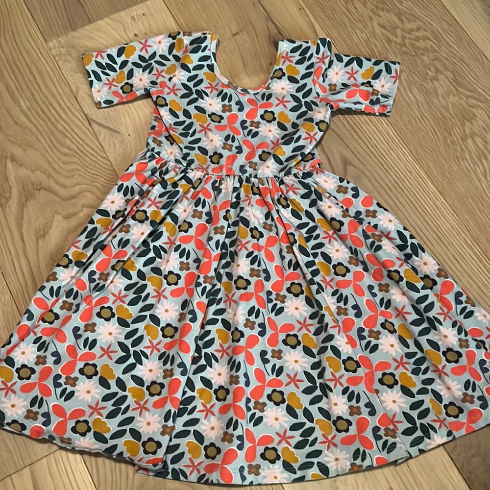 Alice and Ames floral short sleeve ballet dress